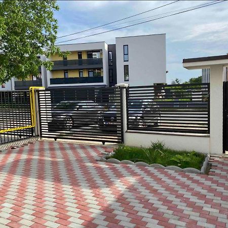 Cozy Apartament With 2Rooms Temešvár Exteriér fotografie