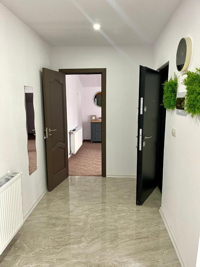 Cozy Apartament With 2Rooms Temešvár Exteriér fotografie