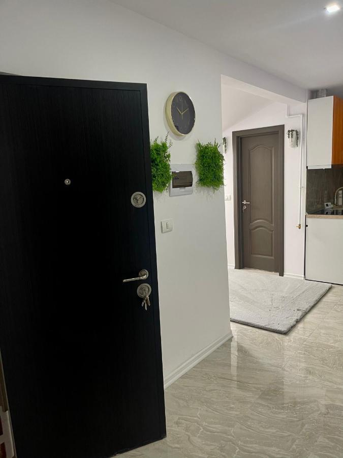 Cozy Apartament With 2Rooms Temešvár Exteriér fotografie